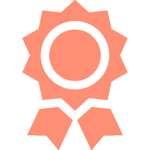 Ecommerce strategy award rosette