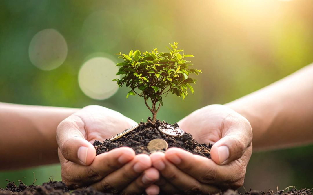 How to Scale an Ecommerce Brand Without Breaking Your Tech Stack